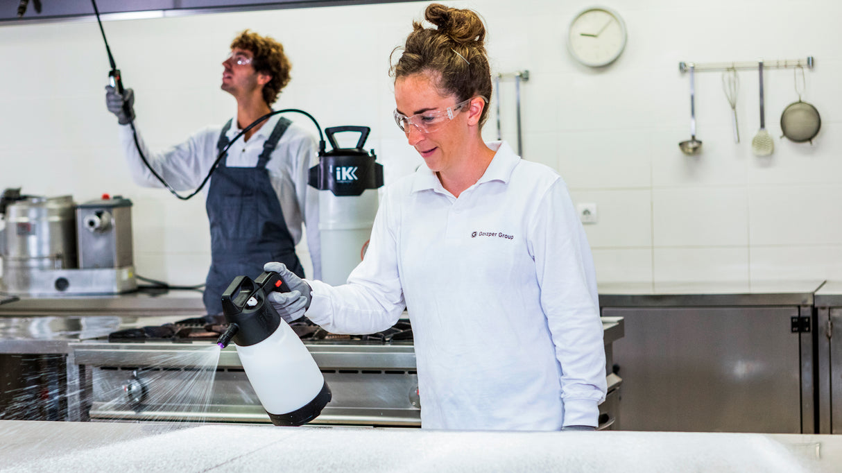 IK FOAM Pro 2 Sprayer | Perfect for Snow Foaming Tasks