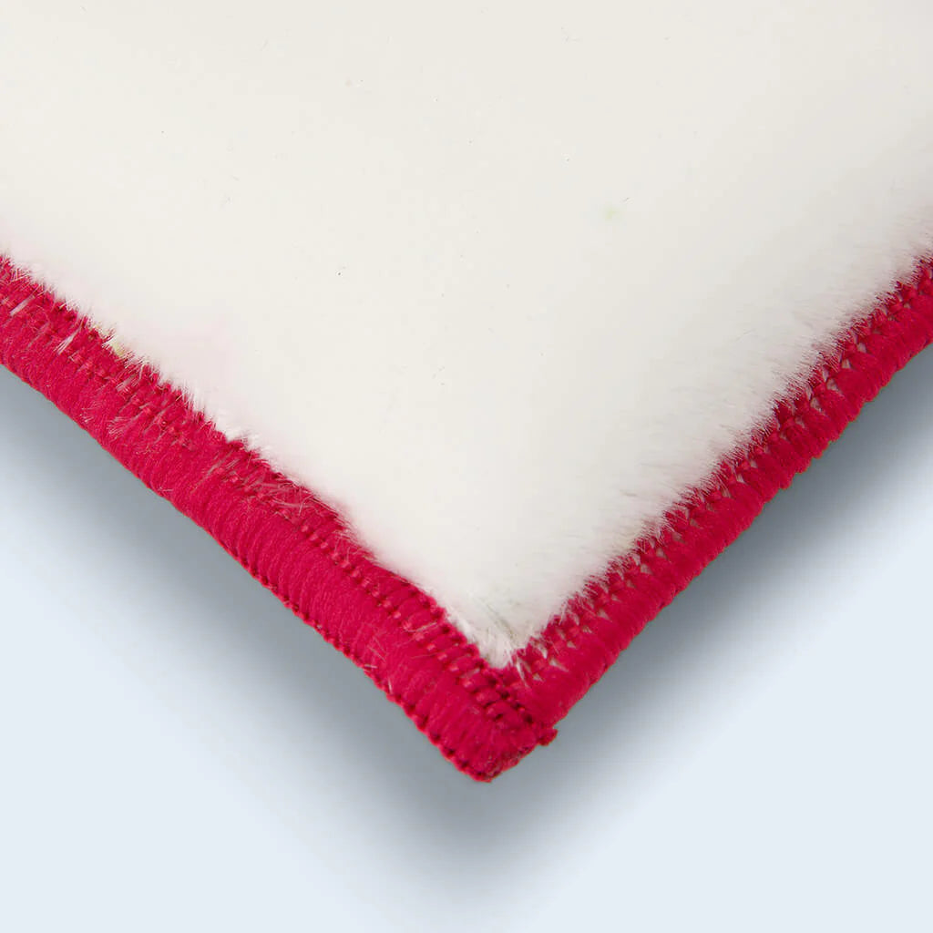 Duel Interior Scrubbing Pad | Car Interior Cleaning Tool