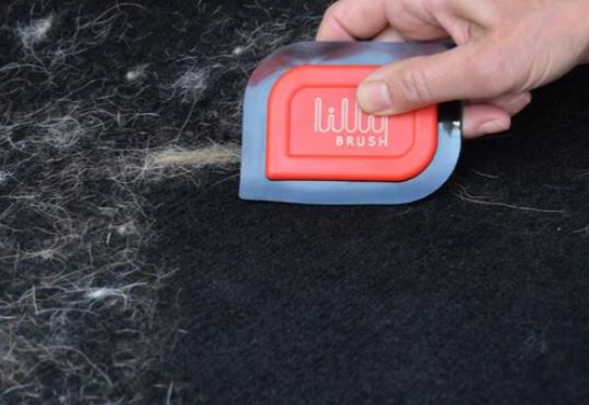 Lilly Brush Mini Pet Hair Detailer | Pet Hair Removal Brushes