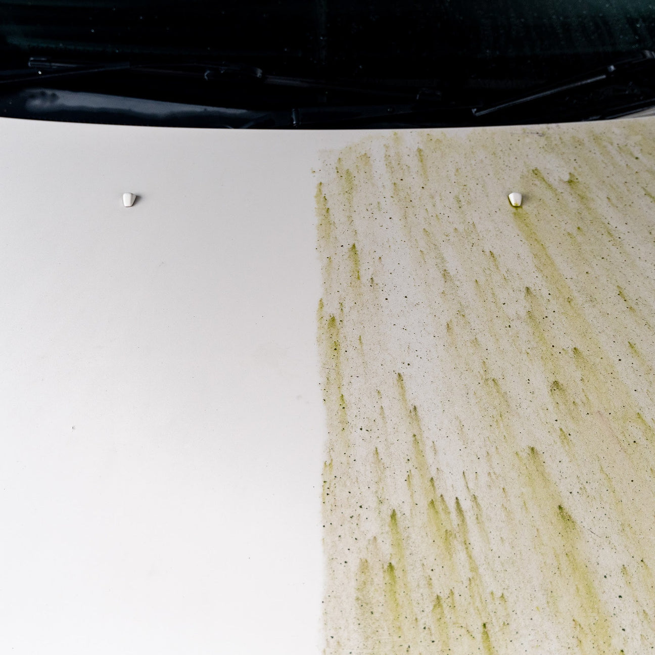 Traffic Film Remover (TFR) | Heavy Duty Degreasers
