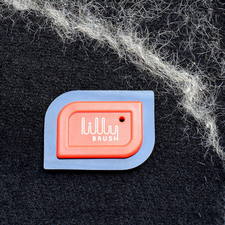 Scrub Pads & Pet Hair Brushes | Interior Cleaning Tools