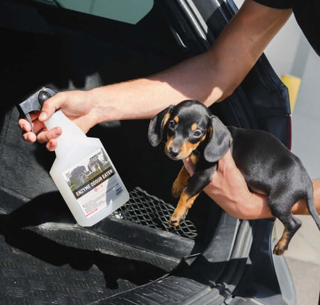 Odour Eliminators | Long Lasting Interior Freshness