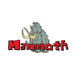 Mammoth Microfibre | Drying Towels & Detailing Accessories