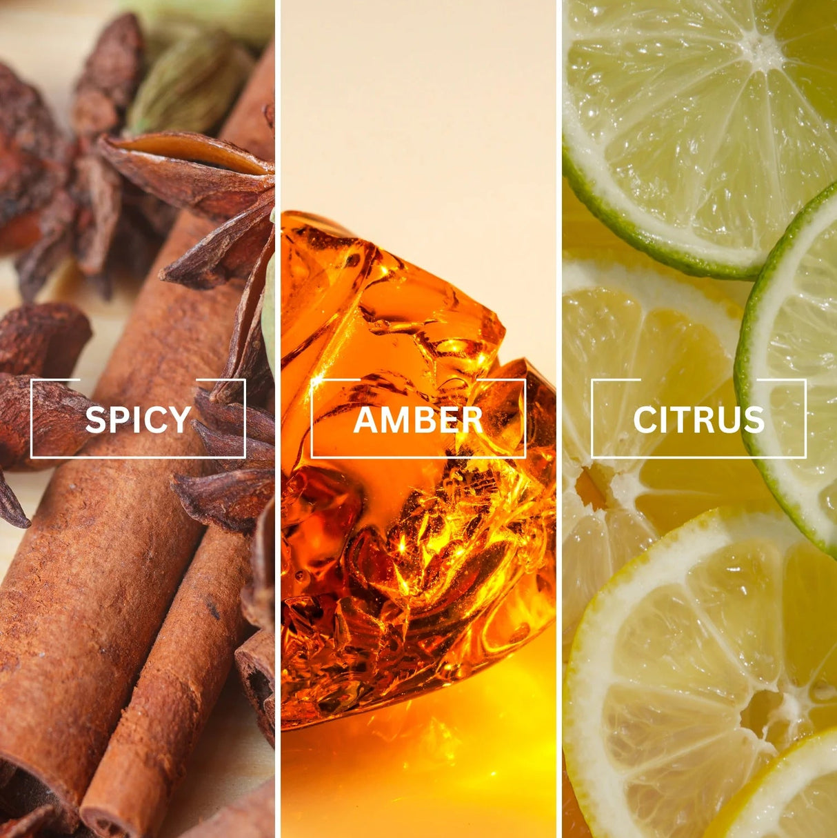 NOIR Billion Luxury Air Freshener | Inspired by One Million