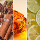 NOIR Billion Luxury Air Freshener | Inspired by One Million