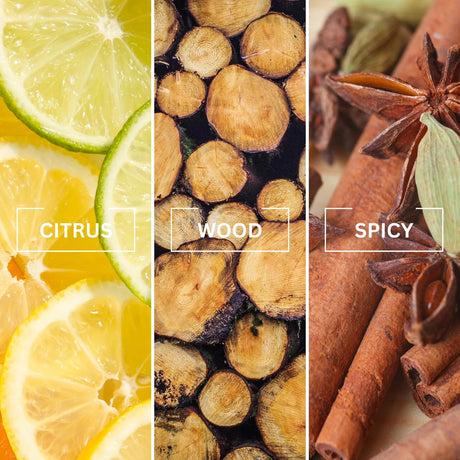 NOIR Bleu Luxury Air Freshener | Inspired by Bleu de Chanel