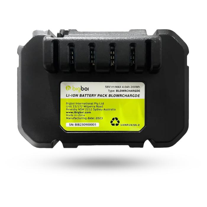 BigBoi BlowR CHARGD Battery