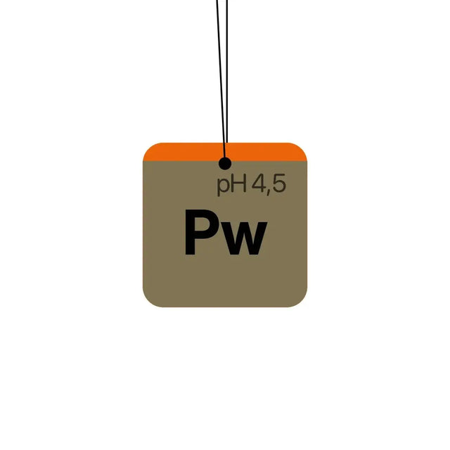 Koch Chemie Pw Air Freshener (Cherry) - Hanging Air Freshener