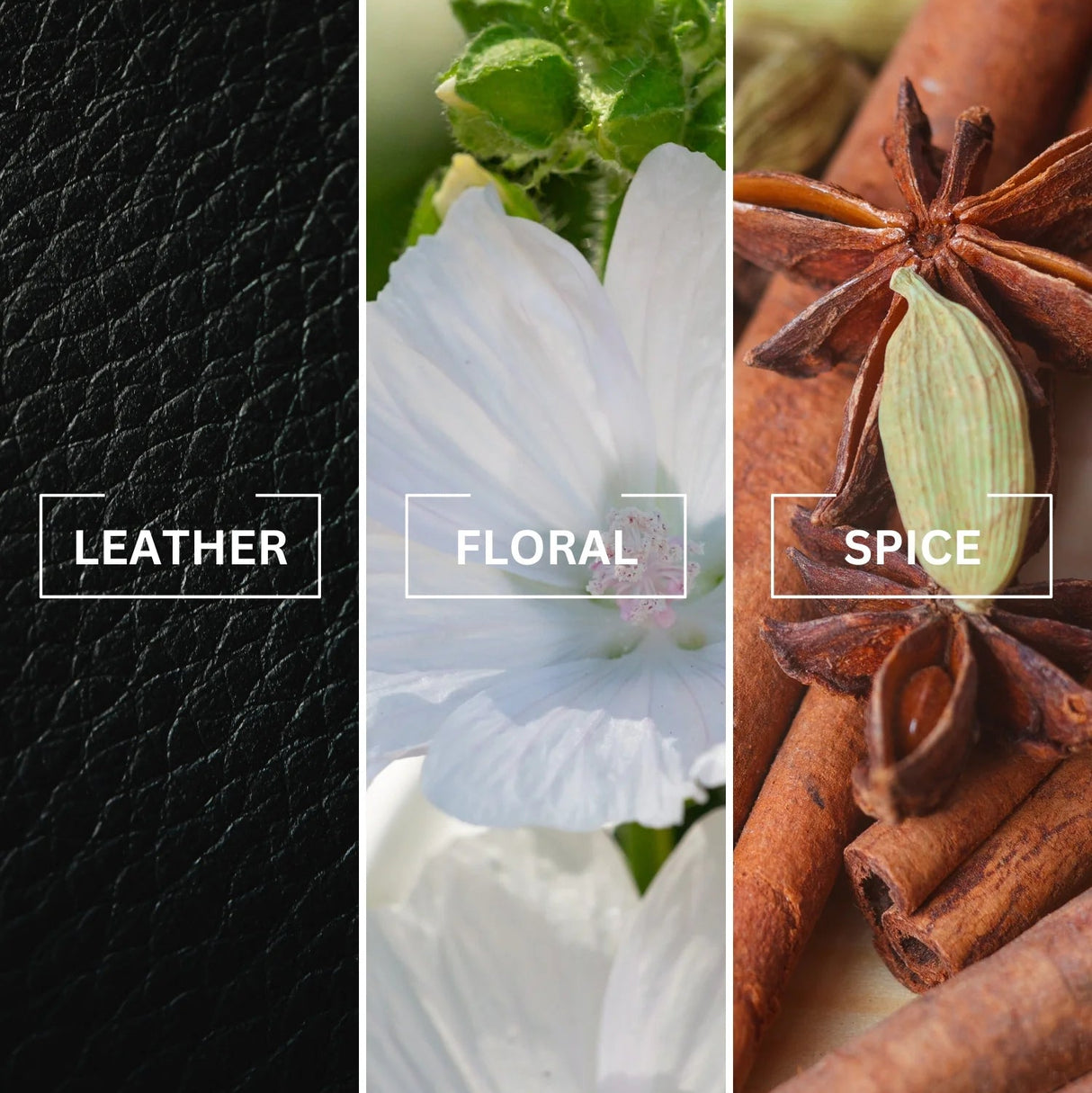 NOIR Leather Luxury Air Freshener | Inspired by Ombre Leather