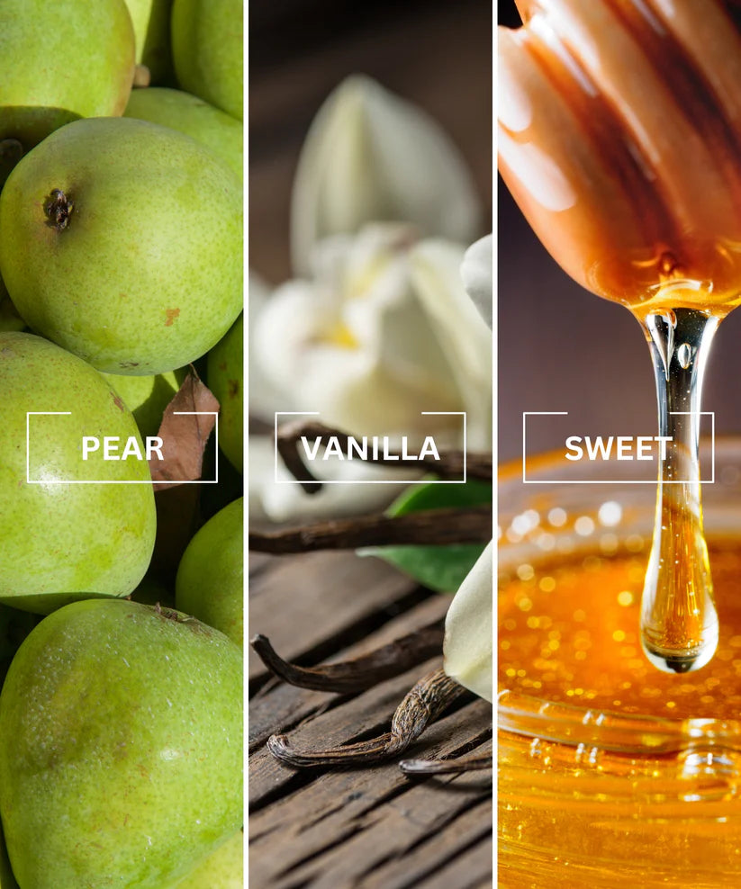 NOIR Ultra Luxury Air Freshener | Inspired by JPG Ultra Male