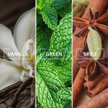 NOIR Veros Luxury Air Freshener | Inspired by Versace Eros